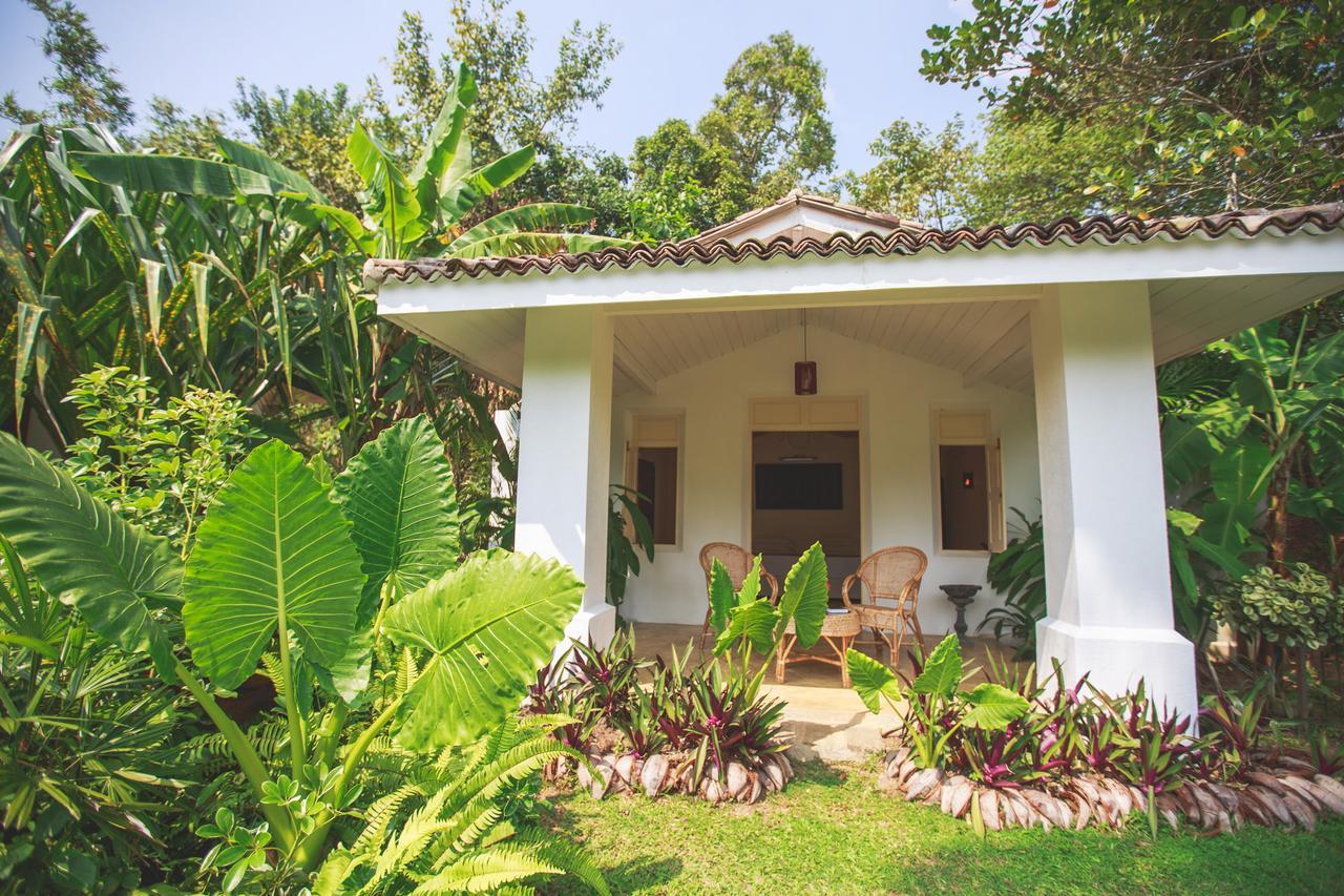 Karmel Villa Thalduwa Island - Five Bedroom Luxury Villa With Private Pool 아항가마 외부 사진